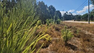 Land for sale in Figueira da Foz, Portugal — €45,000