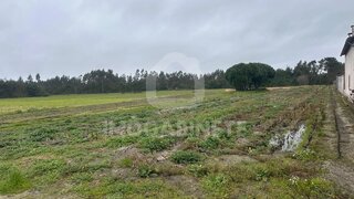 Land for sale in Cantanhede, Portugal — €25,000