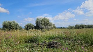Land for sale in Montemor-o-Velho, Portugal — €86,000