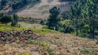 Land for sale in Figueira da Foz, Portugal — €125,000