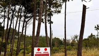 Land for sale in Figueira da Foz, Portugal — €14,000