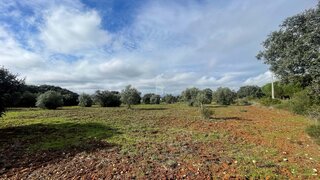 Terreno em Santarém · 19 400 m² · 70 000 €