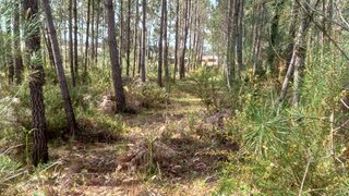Land for sale in Leiria, Portugal — €65,000