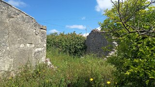Land for sale in Alcobaça, Portugal — €50,000
