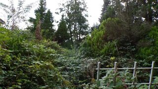 casafari-bild