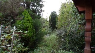 casafari-bild