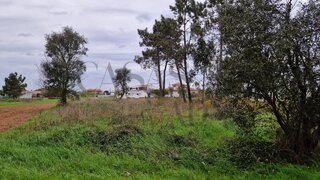 Land for sale in Vagos, Portugal — €48,000