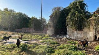 Land for sale in Ílhavo, Portugal — €85,000