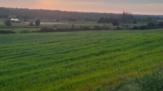 Land for sale in Estarreja, Portugal — €250,000