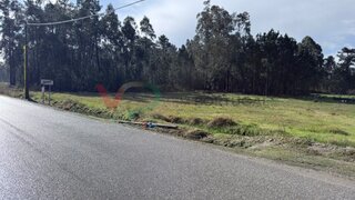 Terreno em Cantanhede · 1630 m² · 28 000 €