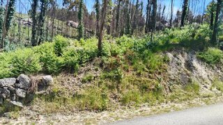Land for sale in Fafe, Portugal — €128,000