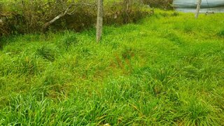 Land for sale in Lousada, Portugal