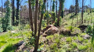 Land for sale in Fafe, Portugal — €10,500