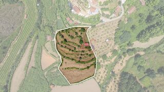 Land for sale in Celorico de Basto, Portugal — €69,996