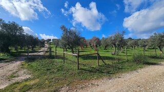 Terreno em Vila Viçosa