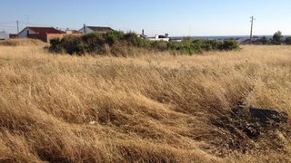Land for sale in Alcácer do Sal, Portugal — €36,000