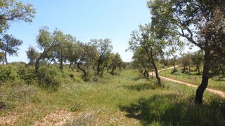Land for sale in Santiago do Cacém, Portugal — €250,000