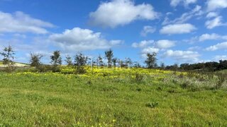 Land for sale in Santiago do Cacém, Portugal — €300,000