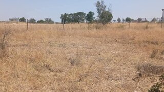 Land for sale in Nisa, Portugal — €15,000