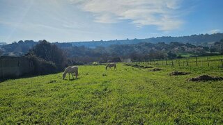 Land for sale in Palmela, Portugal — €365,000