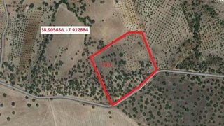 Land for sale in Mora, Portugal — €59,000