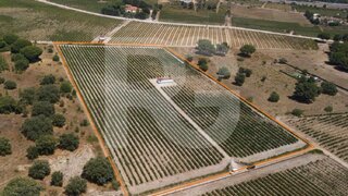 Land for sale in Palmela, Portugal — €275,000