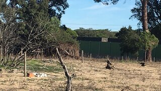 Land for sale in Grândola, Portugal — €400,000