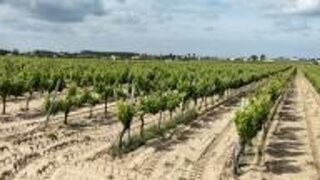 Land for sale in Palmela, Portugal — €300,000