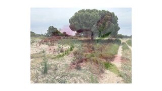 Land for sale in Montijo, Portugal — €320,000