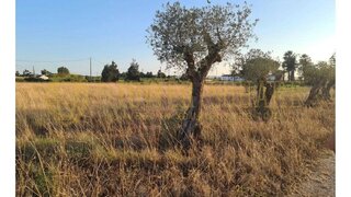 Land for sale in Palmela, Portugal — €128,000