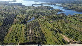 Land for sale in Portel, Portugal — €66,000