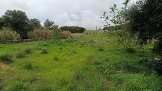 Land for sale in Montijo, Portugal — €1,500,000