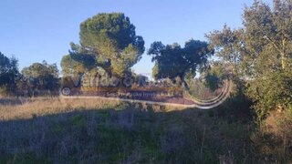 Land for sale in Mora, Portugal — €215,000