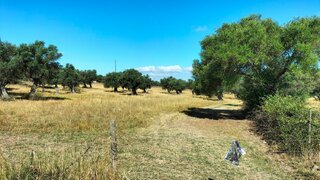 Land for sale in Alcácer do Sal, Portugal — €95,000