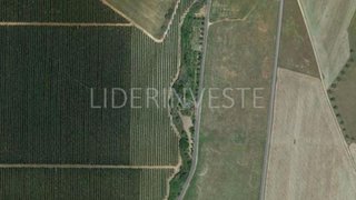 Terreno de 9000 m² em Beja