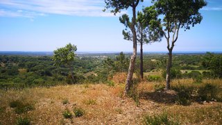 Land for sale in Grândola, Portugal — €900,000