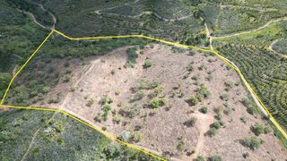 Land for sale in Ourique, Portugal — €68,500