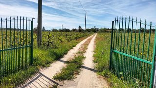 Land for sale in Palmela, Portugal — €695,000