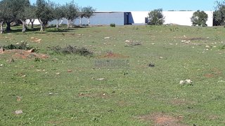 Land for sale in Vila Viçosa, Portugal — €200,000