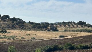 Land for sale in Vidigueira, Portugal — €37,500