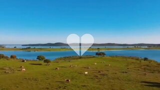 Land for sale in Moura, Portugal — €1,000,000