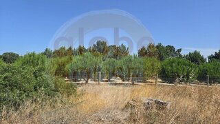 Land for sale in Sesimbra, Portugal — €210,000