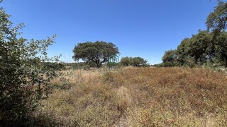 Land for sale in Alandroal, Portugal — €65,000