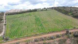 Terreno em Borba