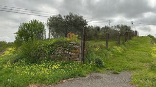 Land for sale in Mértola, Portugal — €30,000