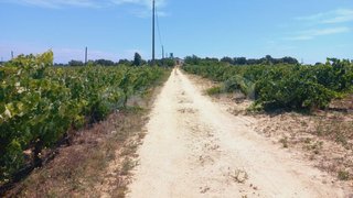 Land for sale in Palmela, Portugal — €399,999