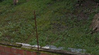Terreno em Alcácer do Sal