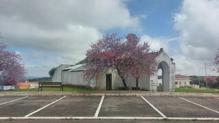 Terreno em Vila Viçosa