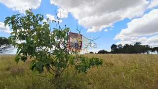 Land for sale in Palmela, Portugal — €31,150