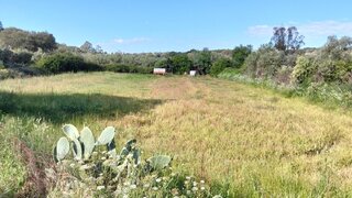 Land for sale in Reguengos de Monsaraz, Portugal — €75,000